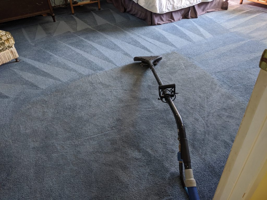 Professional carpet cleaning in Concord CA