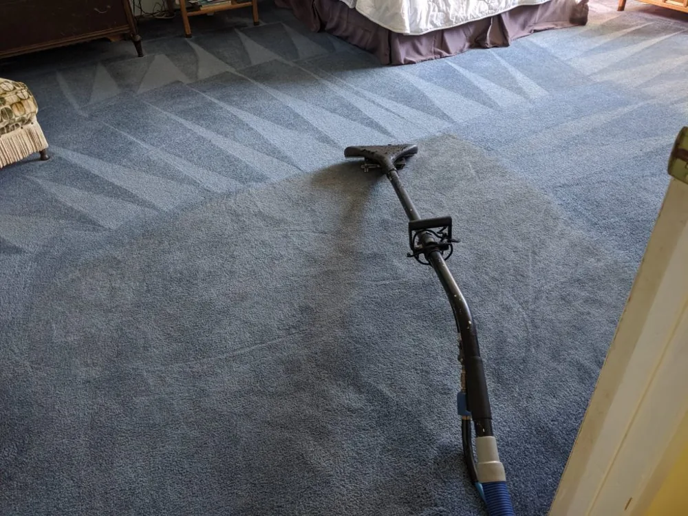 Carpet extraction wand on blue bedroom carpet with freshly cleaned passes
