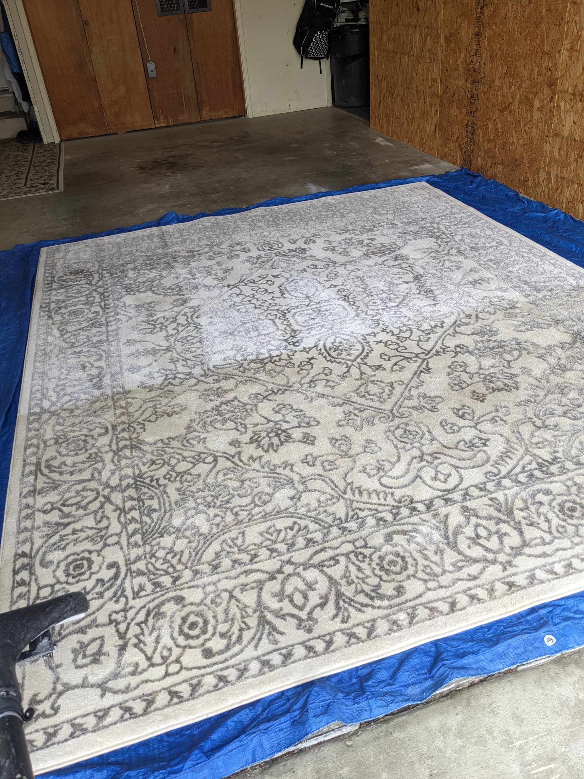 Area rug cleaning in Concord CA